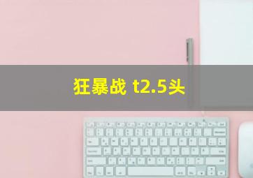 狂暴战 t2.5头